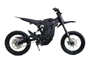 Home 18 E Ride Pro S 16