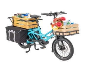 Tern GSD Electric Cargo Bike