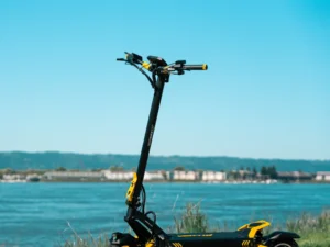 Electric Scooters