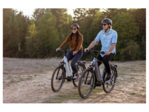 gazelle ultimate t10 2023 2 768x484 1