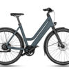 Riese & Müller Culture Mixte Electric Bike