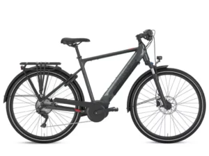 Gazelle Medeo T10 (BES2) Electric Bike