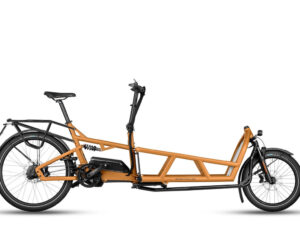 Riese & Müller Load4 75 Electric Cargo Bike