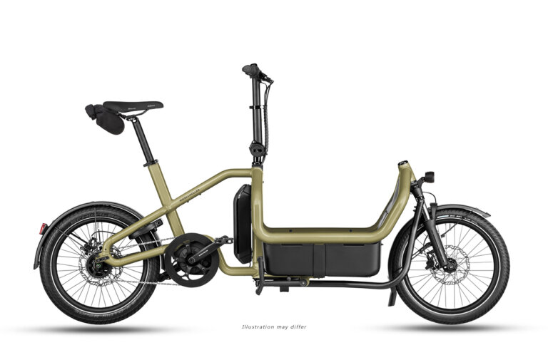 Riese & Müller Carrie2 Electric Cargo Bike 2 riese muller carrie2 city anise 768x484 1