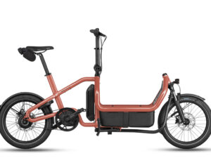 Riese & Müller Carrie2 Electric Cargo Bike