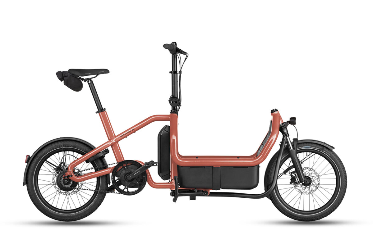 Riese & Müller Carrie2 Electric Cargo Bike 1 Riese & Müller Carrie2 Electric Cargo Bike