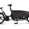Urban Arrow Family Electric Cargo Bike 4 Urban Arrow Family Electric Cargo Bike